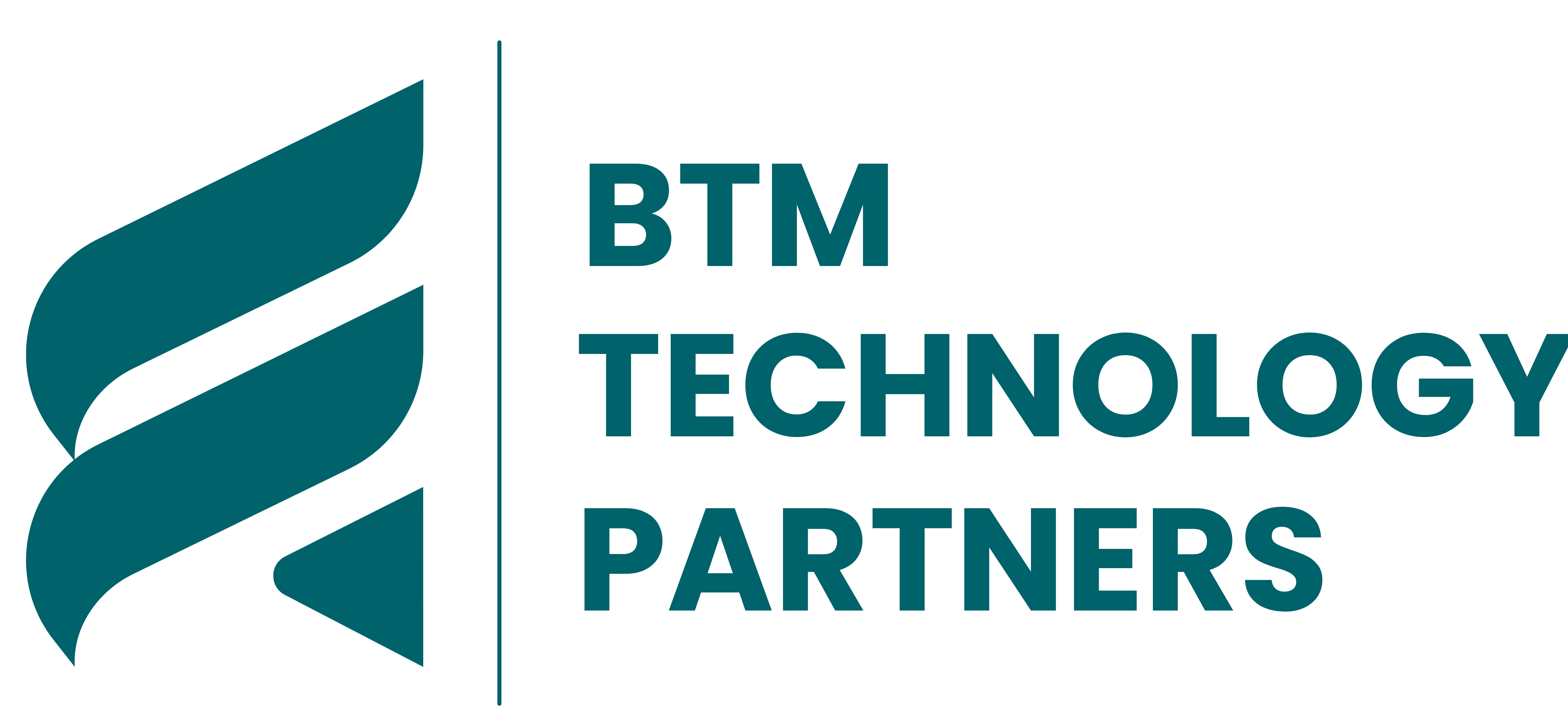 BTM Technology Partners